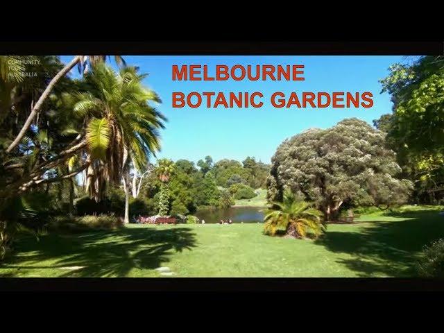 Royal Botanic Gardens Best City Park in Melbourne Australia 2019 - 2.7K