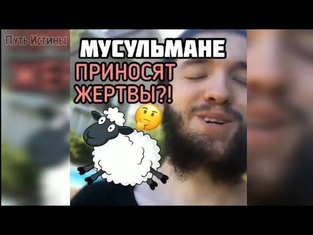 Мусульмане приносят жертву? (Курбан-Байрам) – Кирилл Джабраил