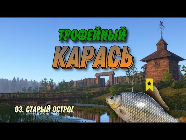 Трофейный Серебряный Карась (Старый Острог) Как? Что? Где?