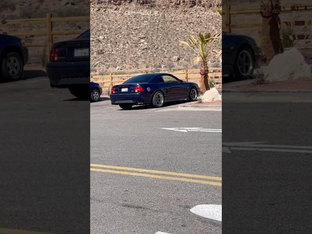 Loud cammed 2V mustang GT new edge Bullitt