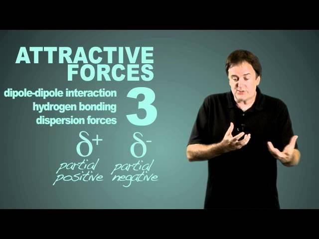 Major Intermolecular Forces