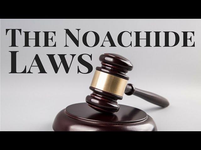 What are the Noachide Laws?