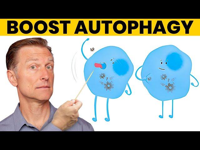 The 7 Powerful Ways to Increase Autophagy