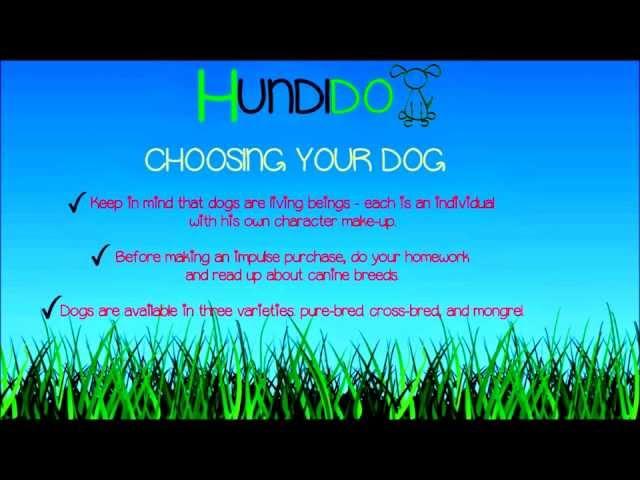 Choosing Your Dog