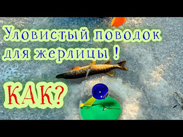 ПОВОДОК для ЖЕРЛИЦЫ? КАКОЙ? Самый уловистый поводок для зимней рыбалки #жерлицы #поводок #рыбалка