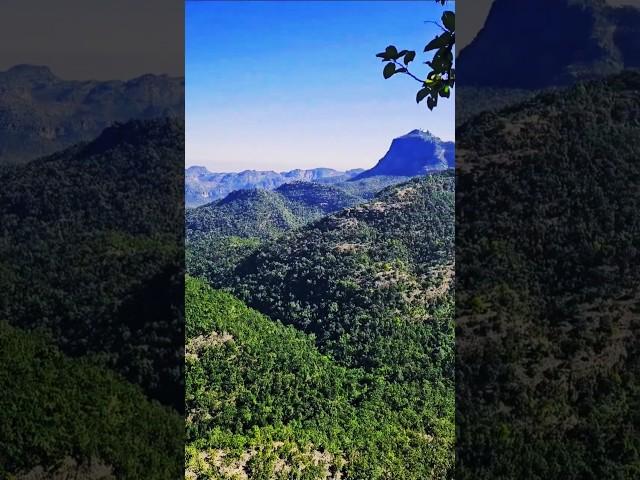 Priyadarshini️ in Pachmarhi Hill Station!  #Travel #HillStation #India #Pachmarhi #Reels #Trip