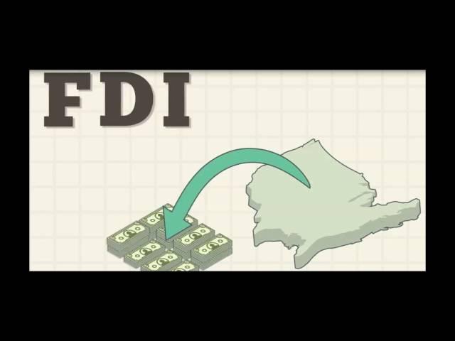 Foreign Direct Investment and its Roles in Economic Development