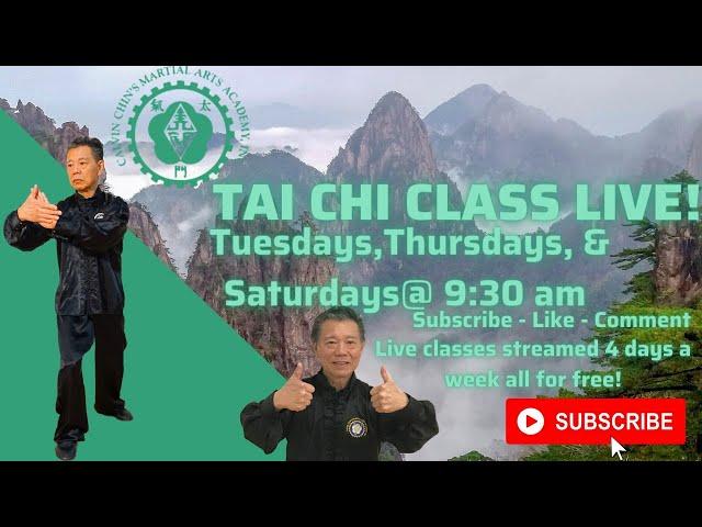 Tai Chi Paradigm (beginner Tai Chi step by step) followed by 108 long form