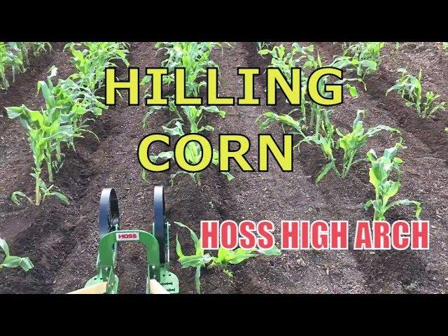 HILLING CORN ~ HOSS High Arch Wheel Hoe