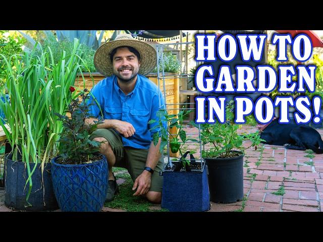 Container Gardening 101: From Pot To Plant