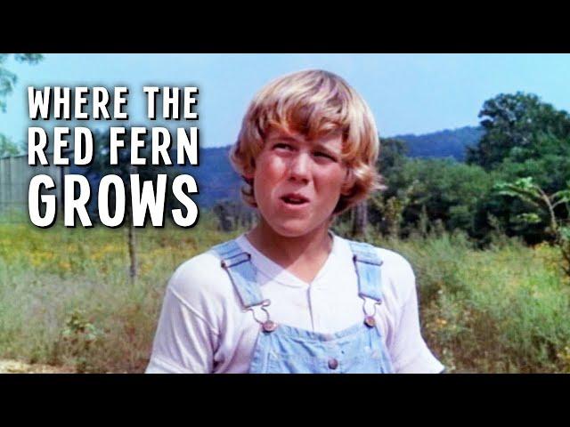 Where the Red Fern Grows | Family Film | English | Free YouTube Movie