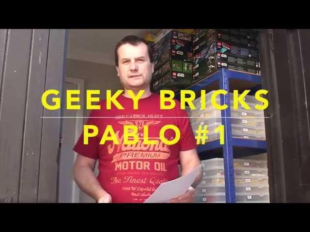 Geeky Bricks PABLO #1