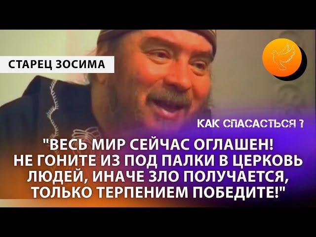 Старец Зосима: "Весь мир сейчас оглашен! И не гоните из под палки в церковь, иначе зло получается"