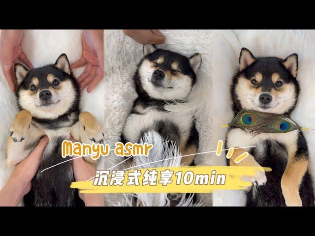 【ASMR 10分钟纯享2.0】曼玉沉浸式SPA | 柴犬吃播 | 助眠视频颅内享受