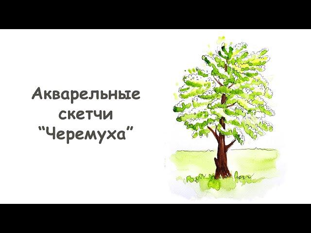 Как нарисовать цветущую Черемуху ?/ Урок по рисованию для начинающих от more-art.ru