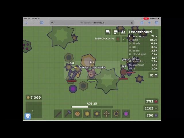 moomoo.io 80K gold! timelapse *not clickbait* *no hacks*