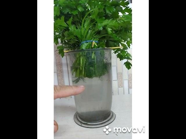 #shorts Как сохранить зелень свежей.