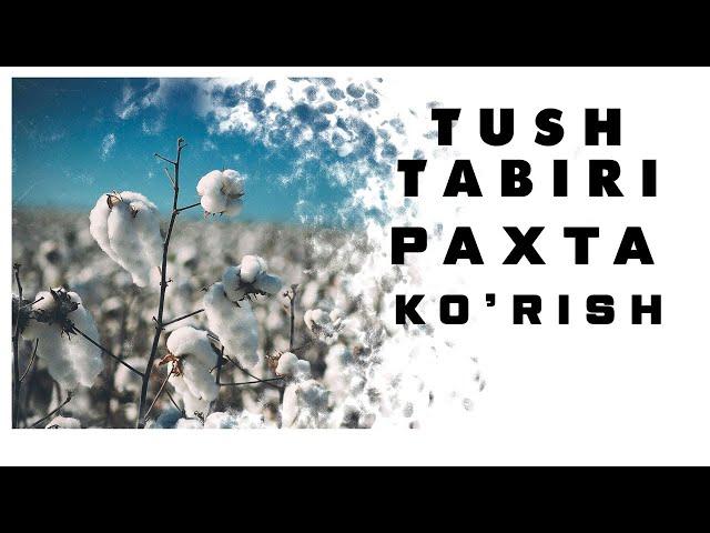 Tushda Paxta Ko'rish Tabiri