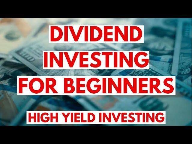 Dividend Investing for Beginners: Your First $1,000 in High Yield Stocks