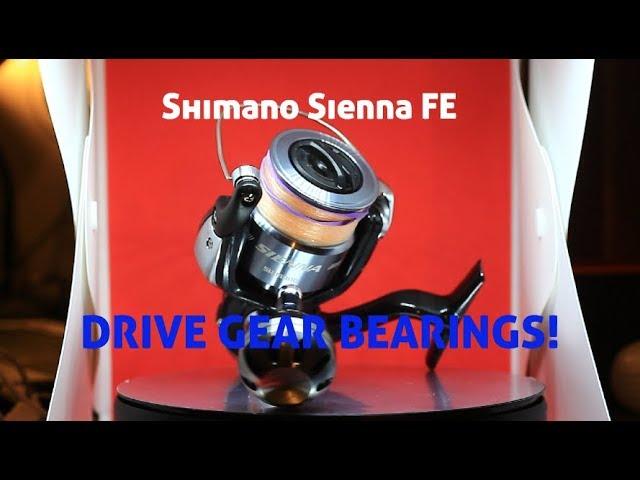 Shimano Sienna 4000 FE Drive Gear Bearing replacement I Disassembly , Maintenance, Reassembly