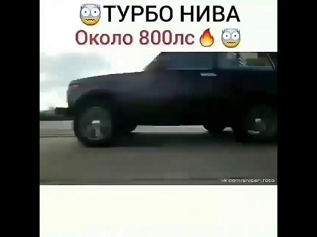 Нива 800 сил