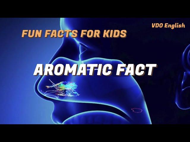 Fun Facts for kids: Aromatic Fact