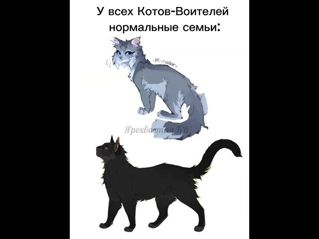 Коты-Воители прикол. звук не мой! #мяу