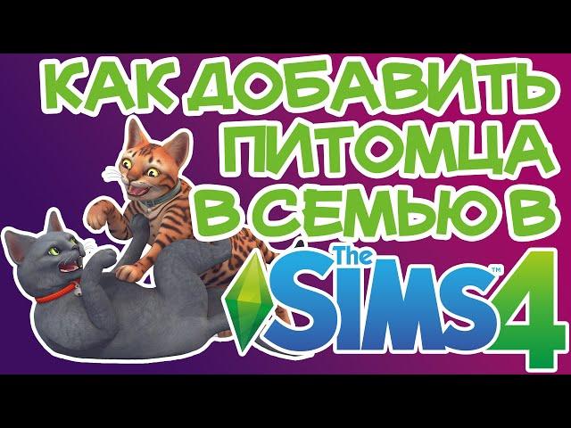 Как Добавить/Создать Питомца в Существующую Семью Sims 4 | Sims 4 Создать Питомца