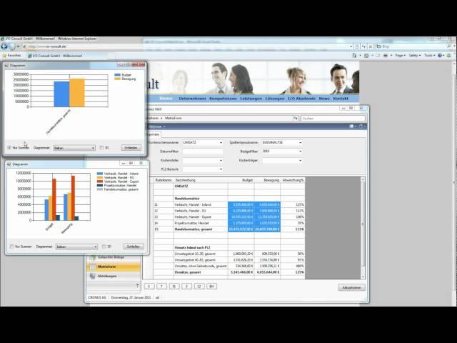 Microsoft Dynamics NAV 2009 RTC Add In Matrixform