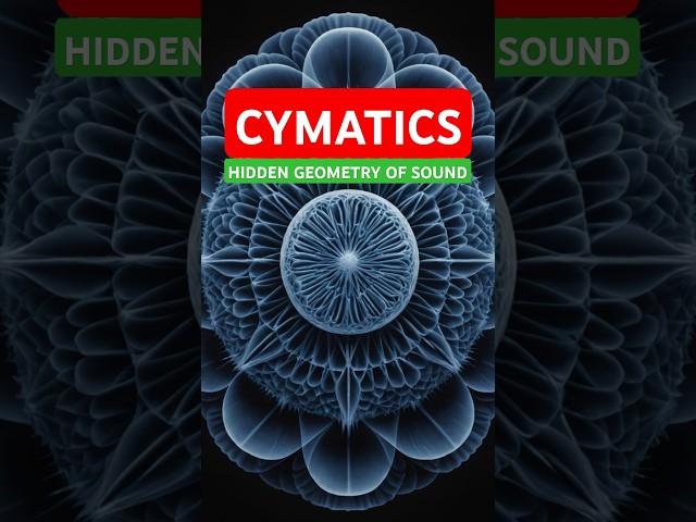 Hidden Geometry of Sound: Exploring Wonders of Cymatics