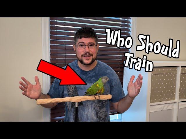 Who Should Train a Parrot in a Family Setting?