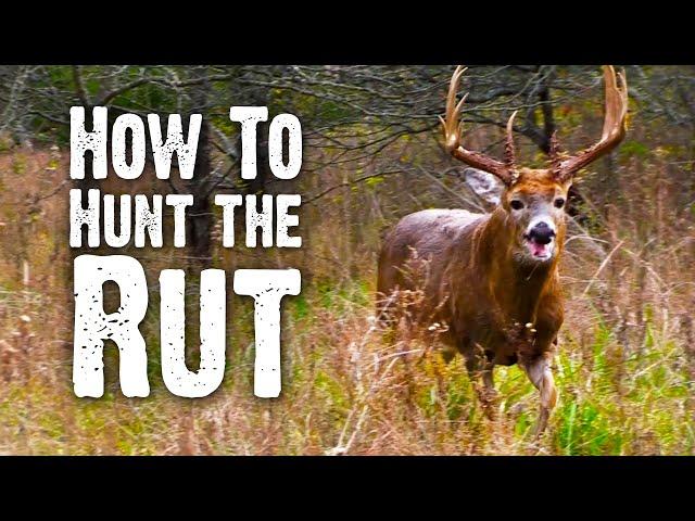How to Hunt the Rut (842)