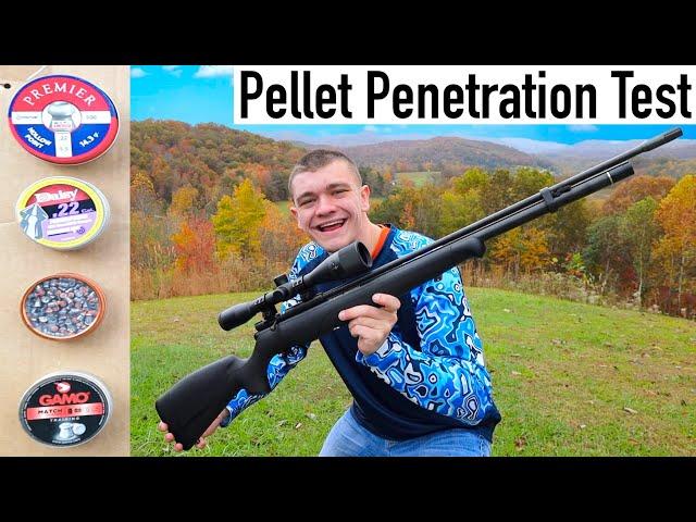 Airgun Pellet Penetration Test!