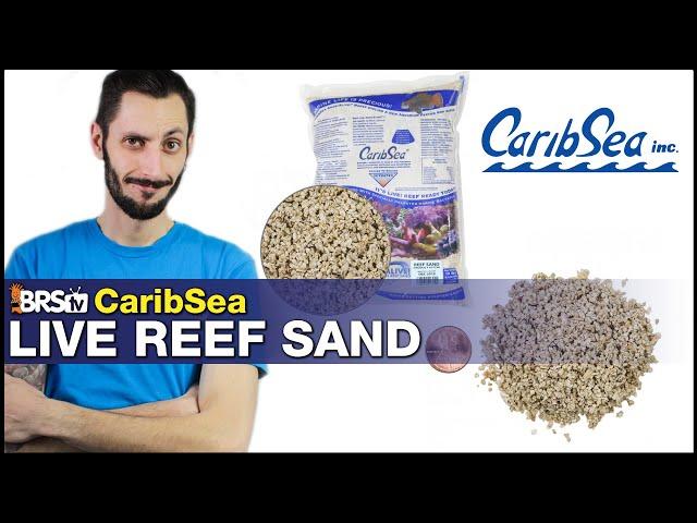 CaribSea Reef Live Sand: Be honest, a saltwater tank looks better with sand! We think so.