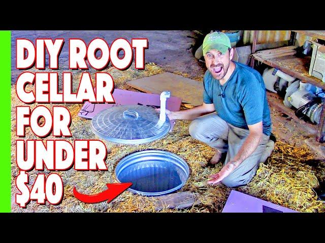 Our Simple Inexpensive Root Cellar Build