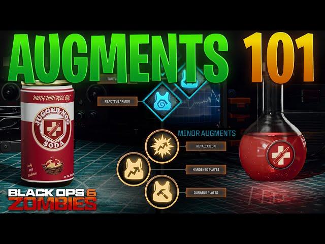 The BEST Perk Augment Combinations in Black Ops 6: Zombies ( Best Perk Combinations Explained! )