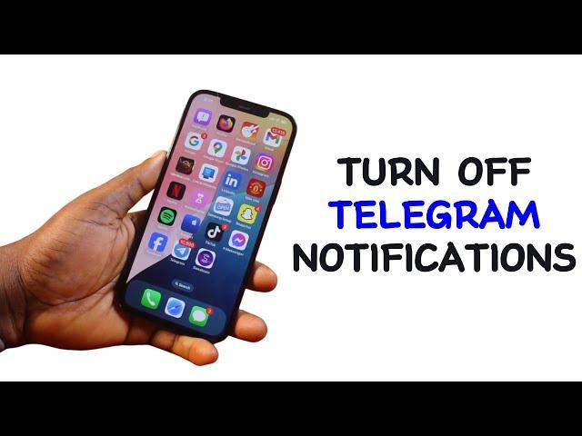 How to Turn Off Telegram Notifications on iPhone