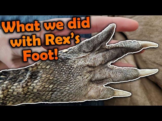 Casting our Alligator's Foot Part 2! (The Final Product)