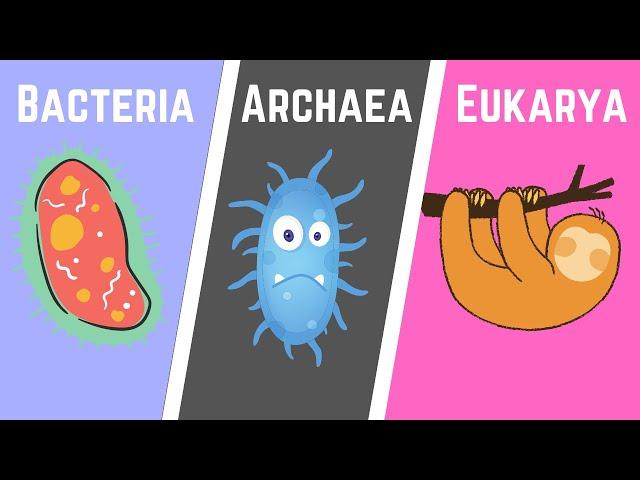 The Three Domains of Life -Bacteria-Archaea-Eukarya