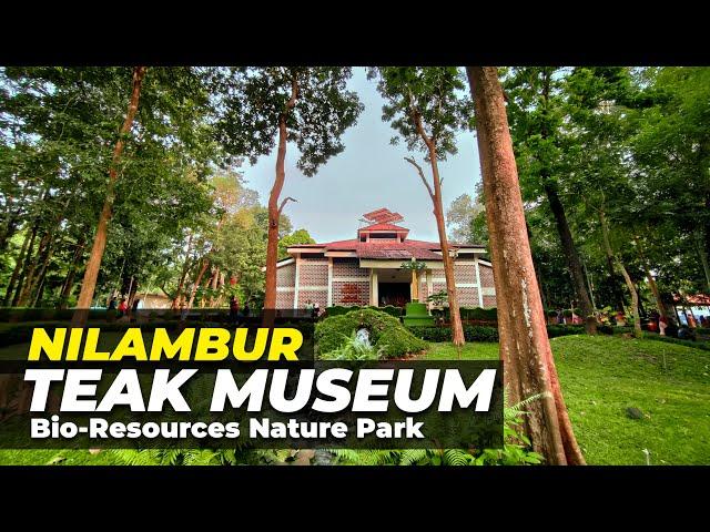 Nilambur Teak Museum | world's first teak museum | TheruvuThendi #nilambur #malappuram #museum