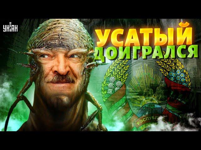 Лукашенко аж поплохело. Новый УДАР: усатый таракан доигрался