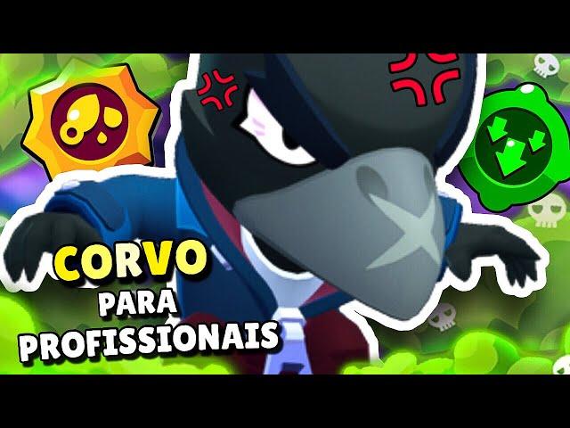 CORVO PARA PROFISSIONAIS!