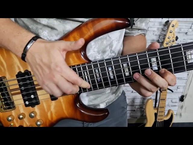 Bass groove, melody and tapping on Carvin LB 76