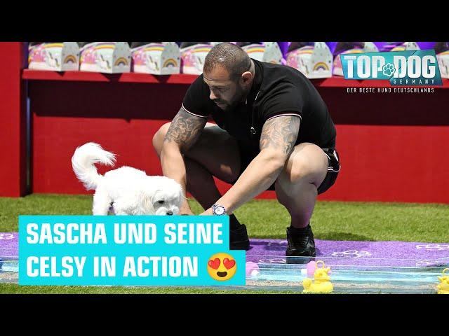 Wiedersehen mit dem süßen Duo  | Top Dog Germany 2024