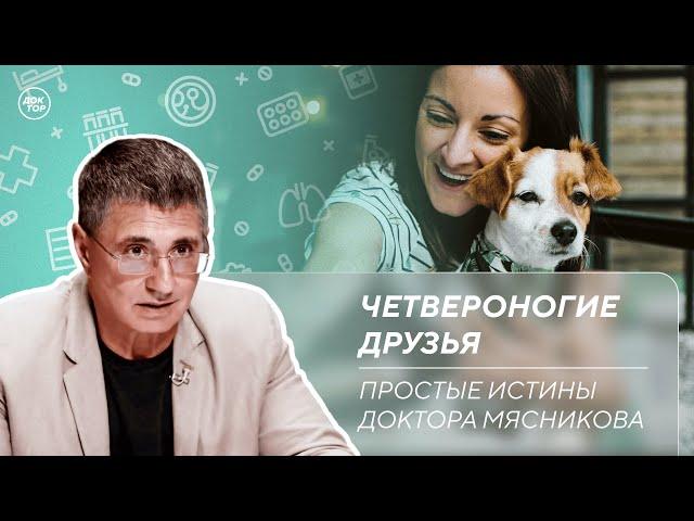 Доктор Мясников о том, почему важно иметь домашних животных