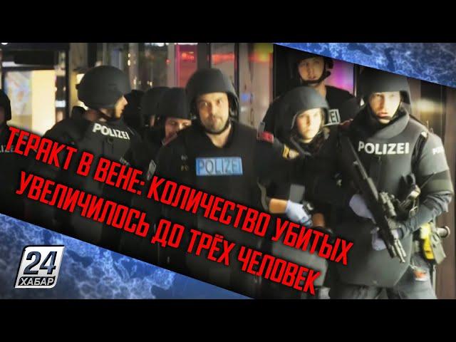 Теракт в Вене: количество убитых увеличилось до трёх человек