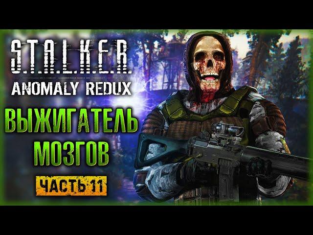 ОТКЛЮЧЕНИЕ ВЫЖИГАТЕЛЯ МОЗГОВ! | STALKER Anomaly Redux ️ | (часть 11)