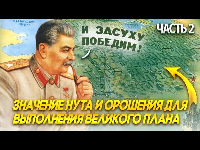 ЗНАЧЕНИЕ НУТА, КАК ПРЕДШЕСТВЕННИКА