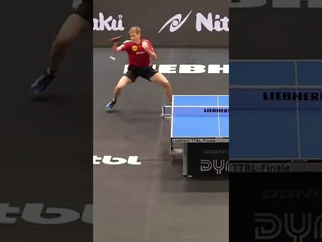 Table tennis insane point #masatenisi #pingpong #tabletennis #match #rally #sports