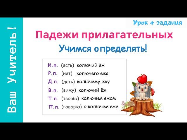 Падежи прилагательных. Как определить падеж прилагательного?